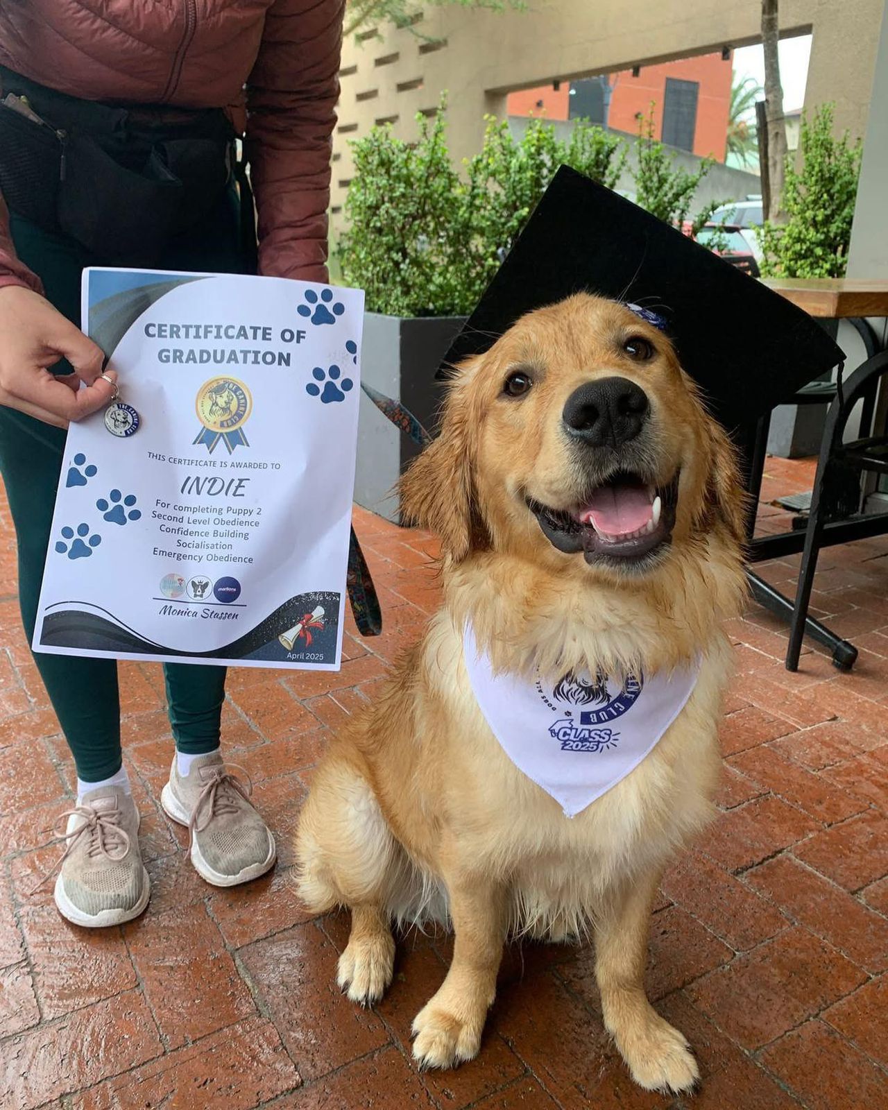 Puppy Classes & Training